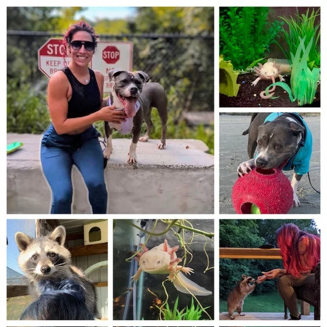 Collage of a team member with a dog, small pets, and wildlife including a raccoon and axolotl.